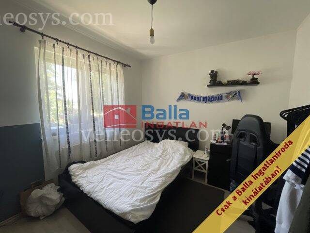Kép 8