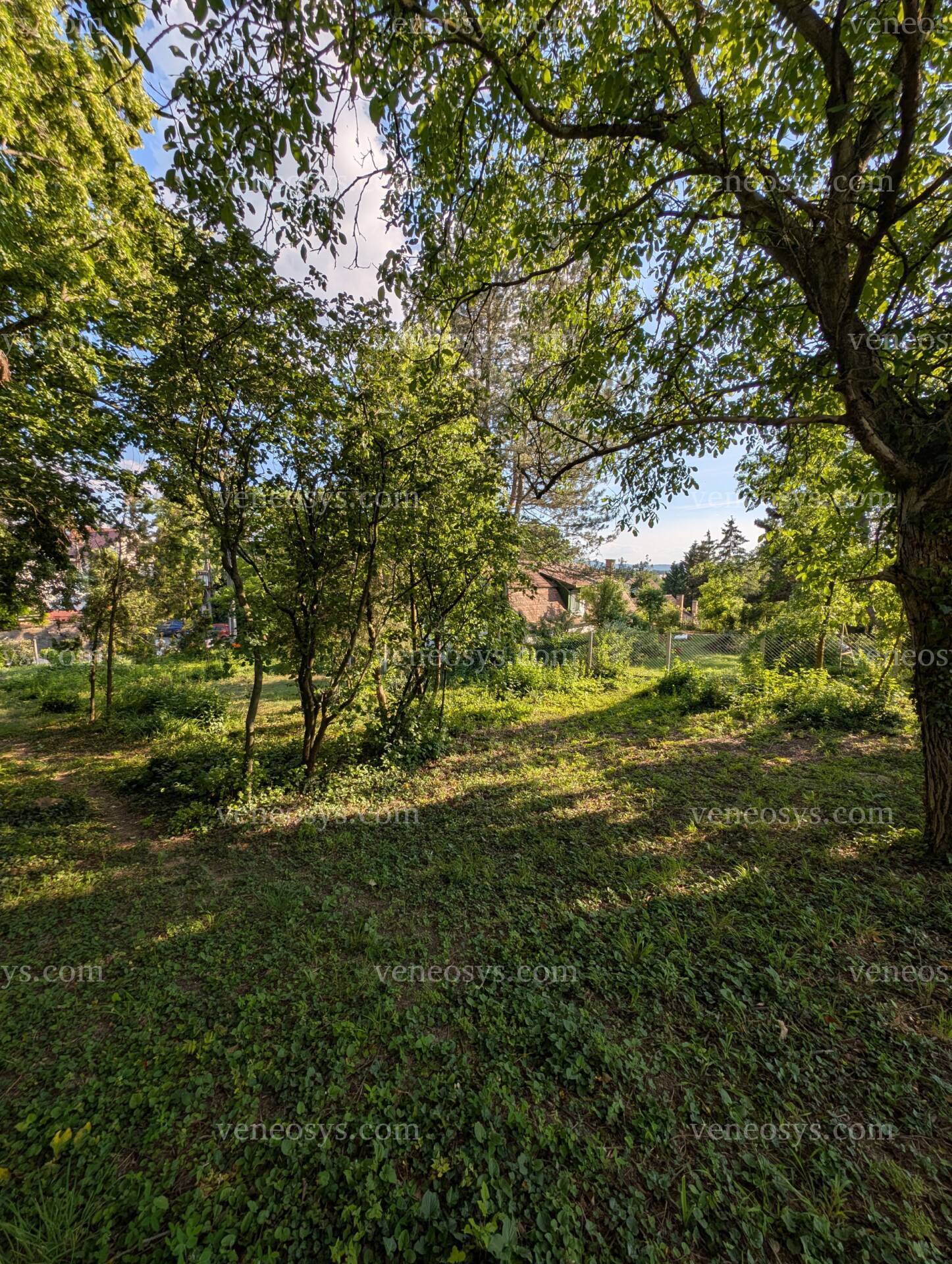 Kép 8