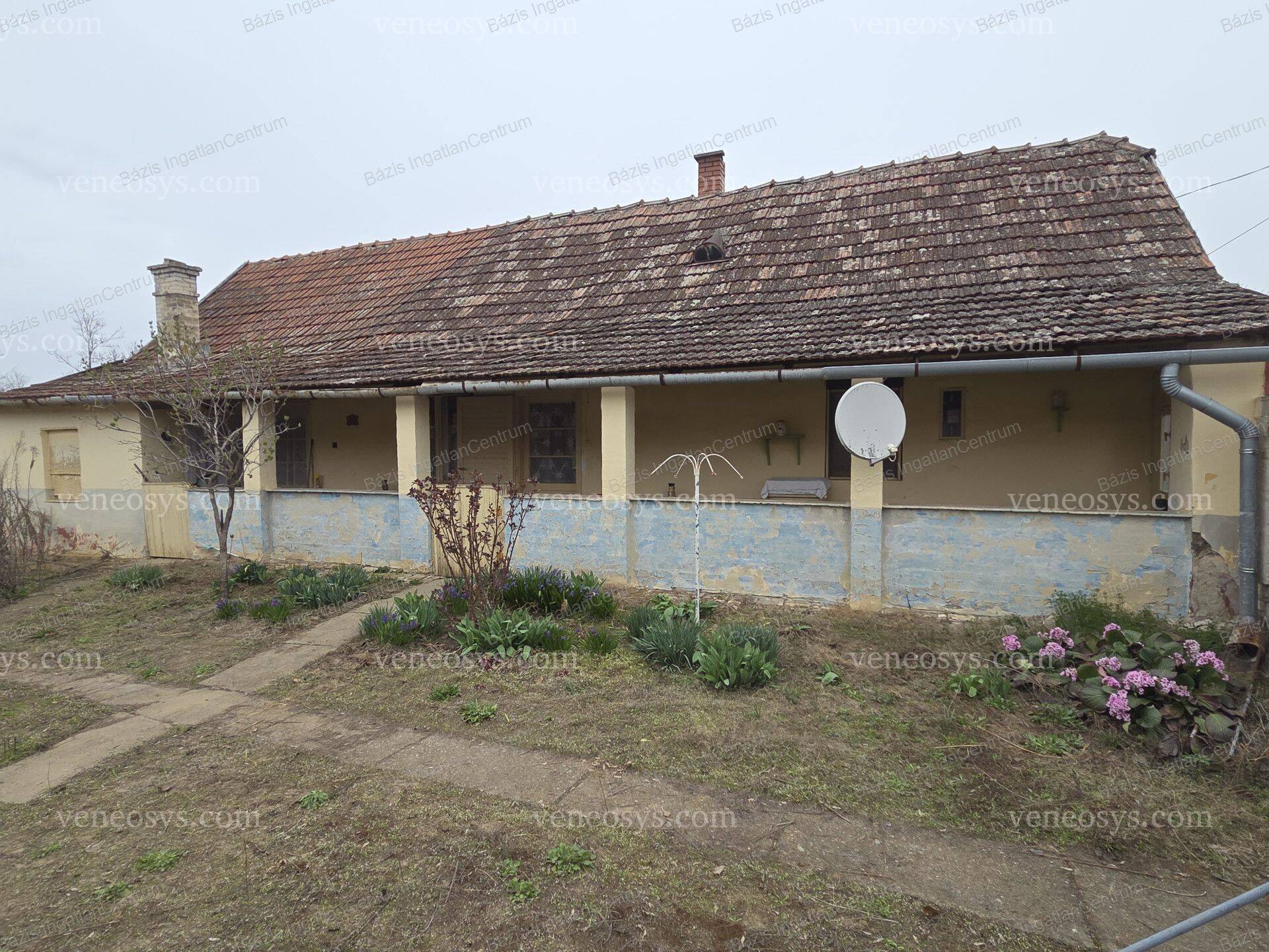 Kép 22
