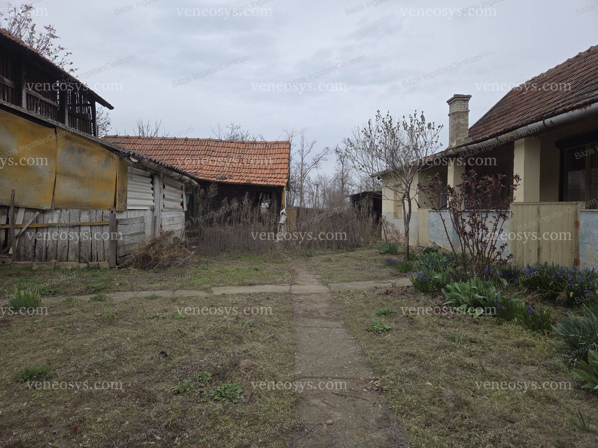 Kép 23