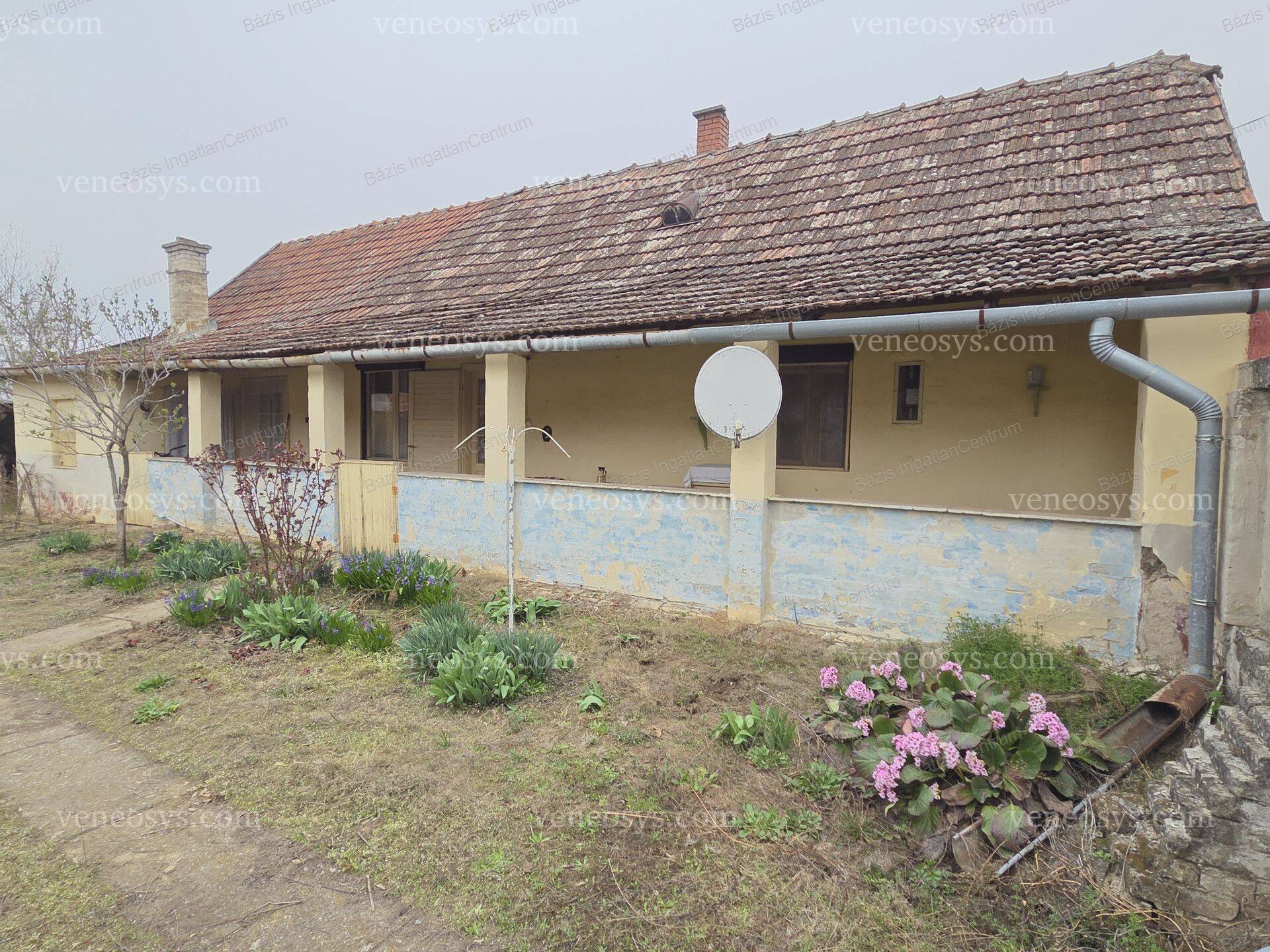 Kép 21