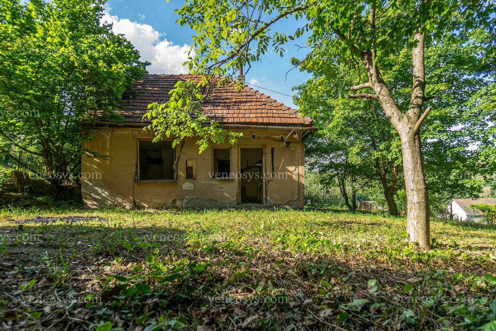 Kép 15