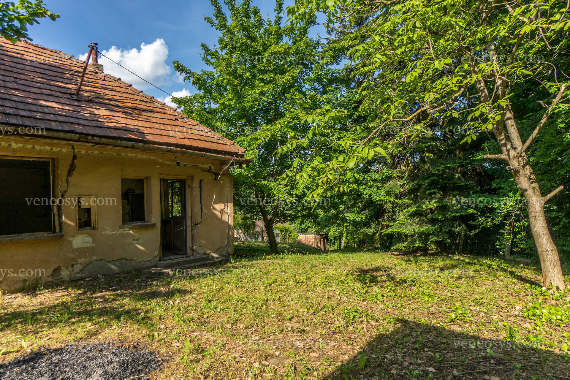 Kép 10