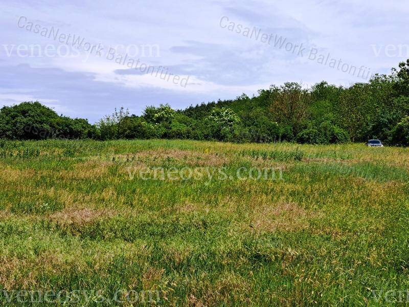 Kép 14