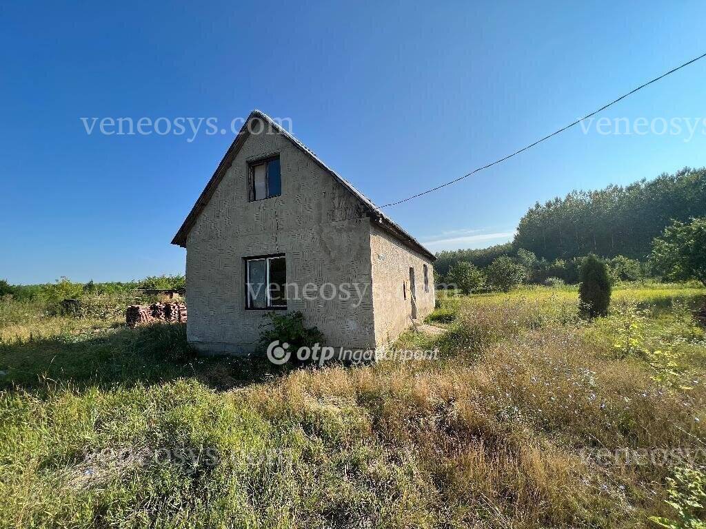 Kép 7