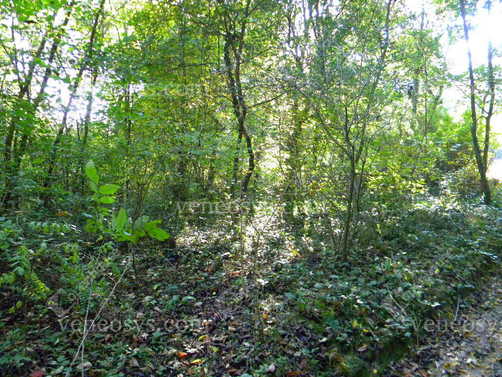 Kép 3