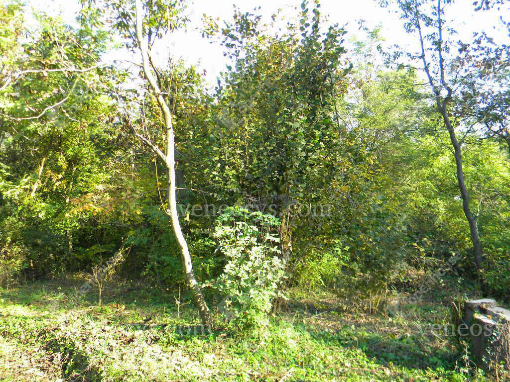 Kép 13