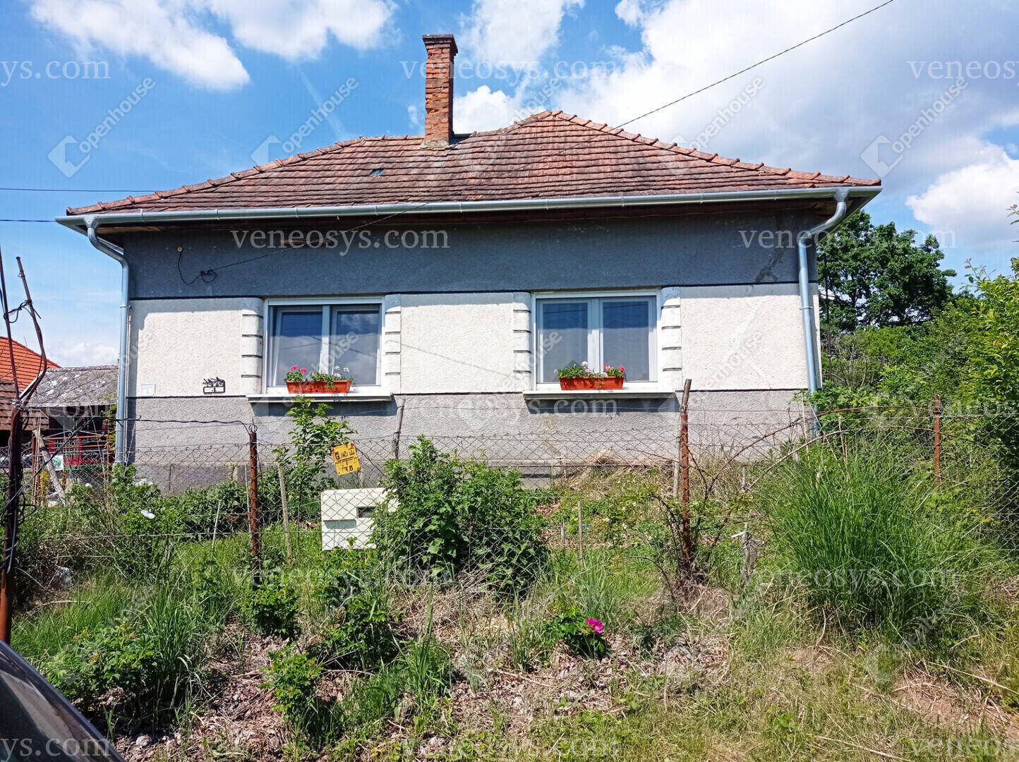 Kép 4