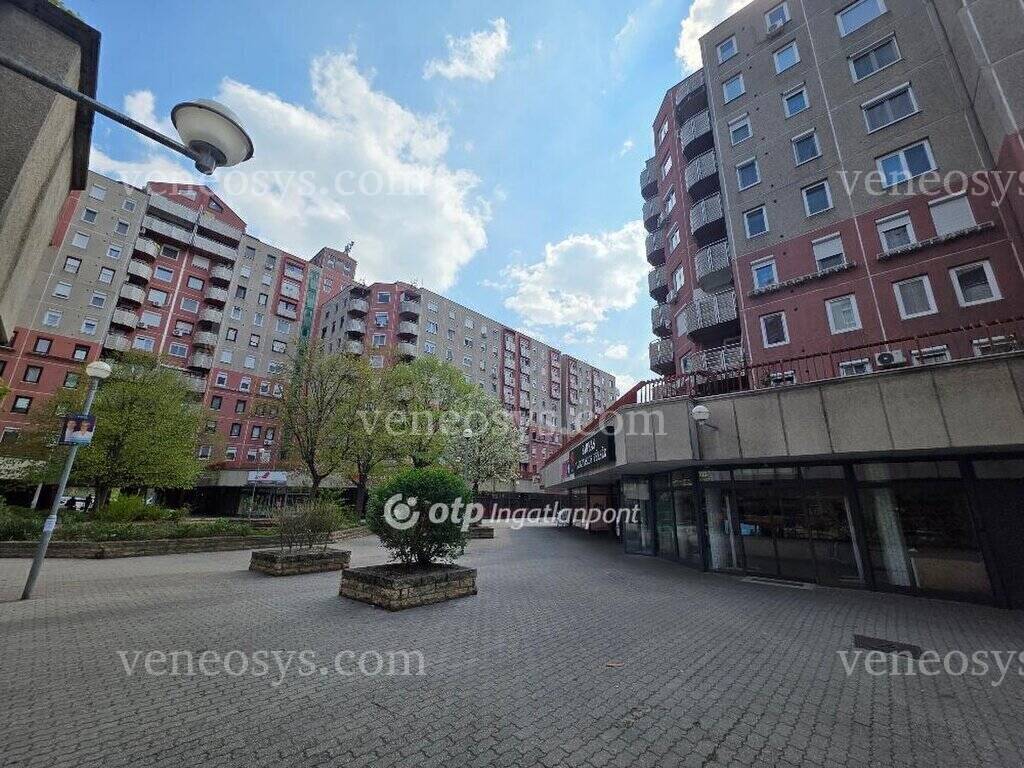 Kép 13