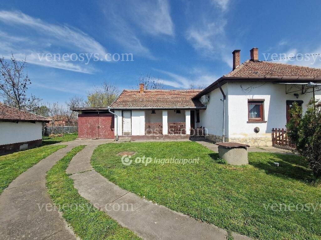 Kép 8