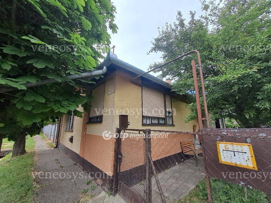 Kép 15