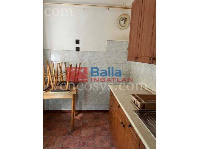 Kép 6