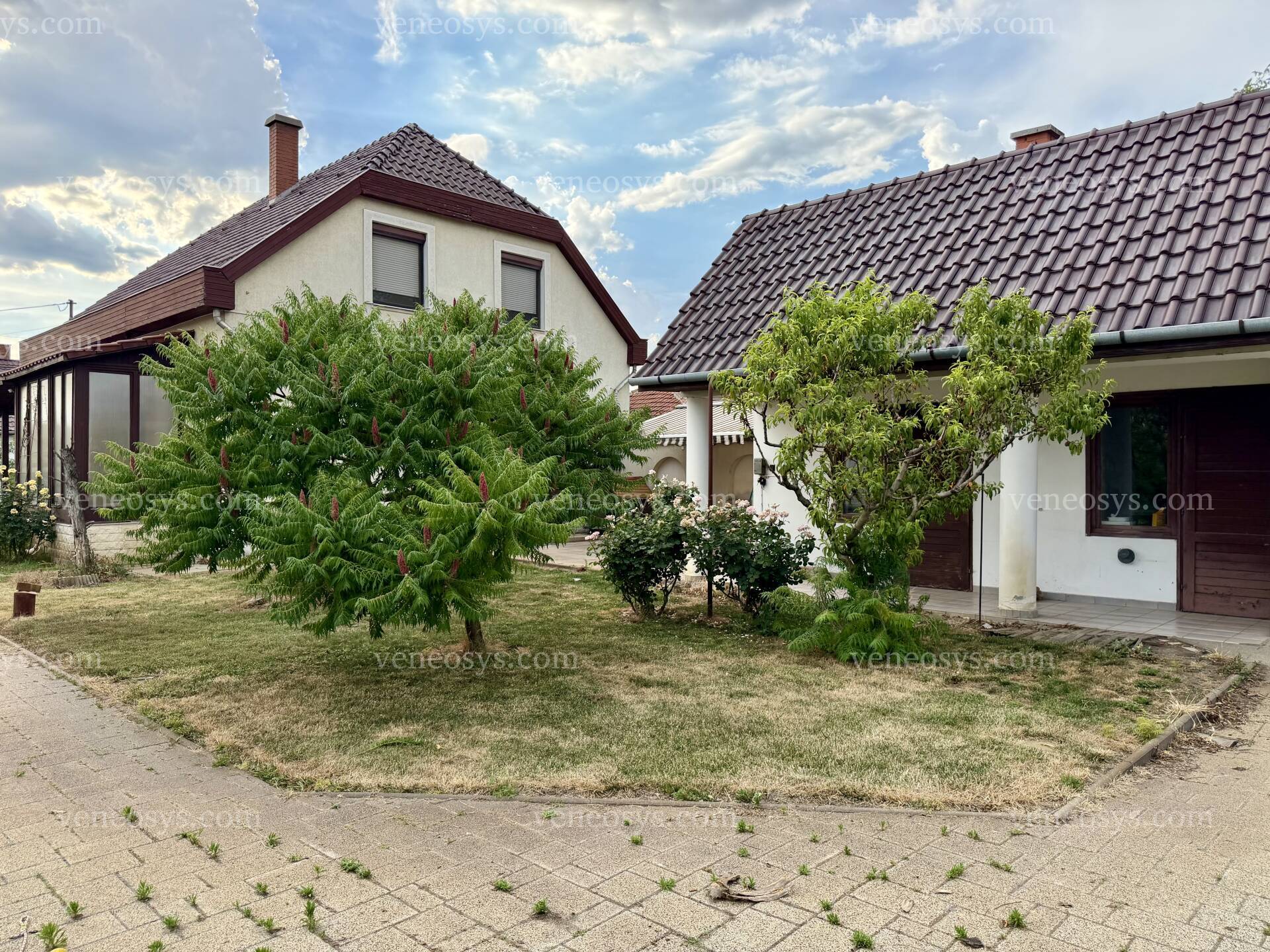 Kép 5
