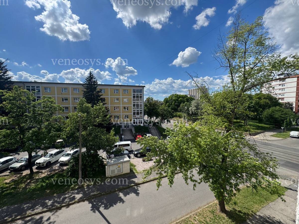 Kép 10