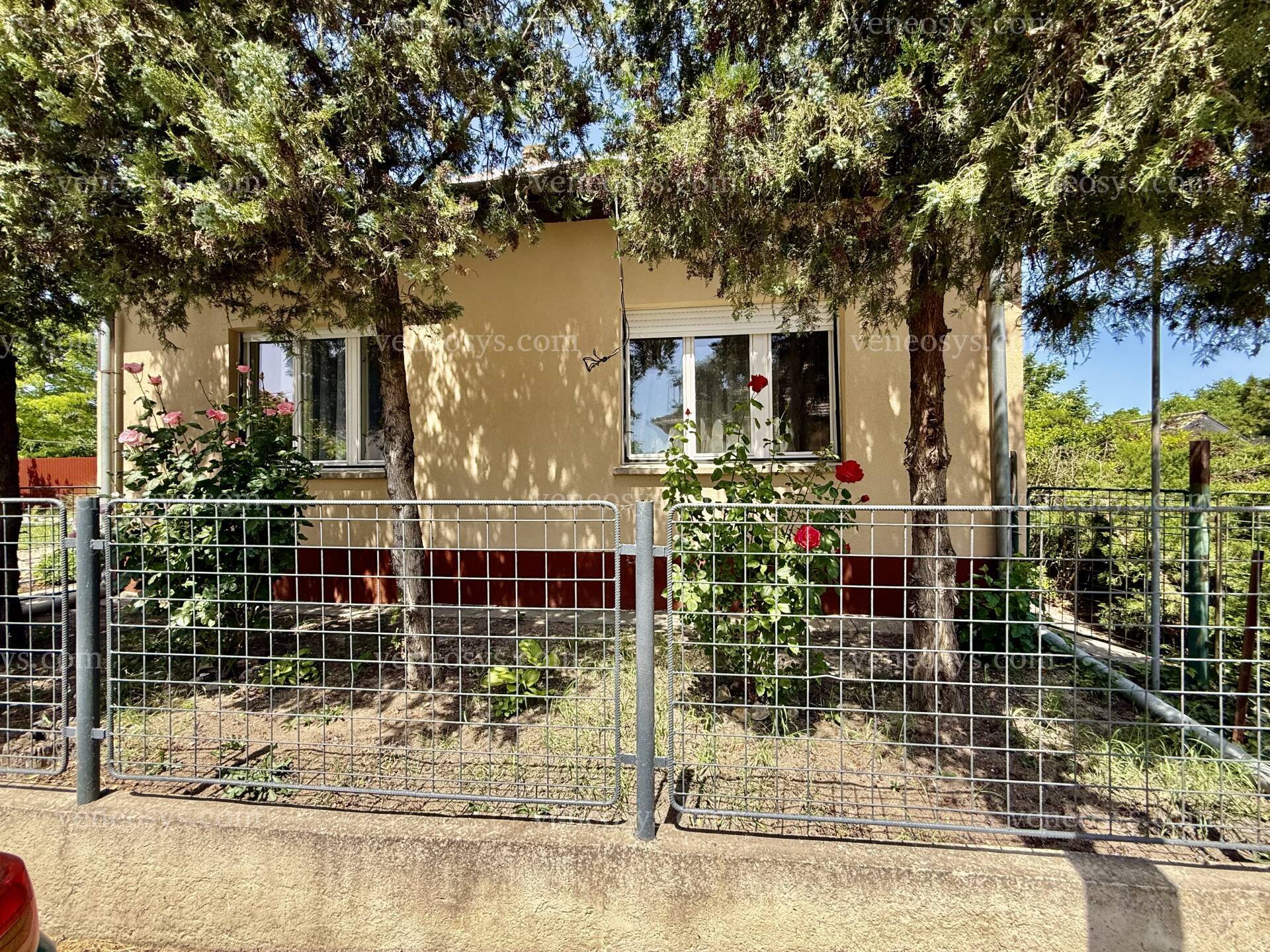 Kép 13