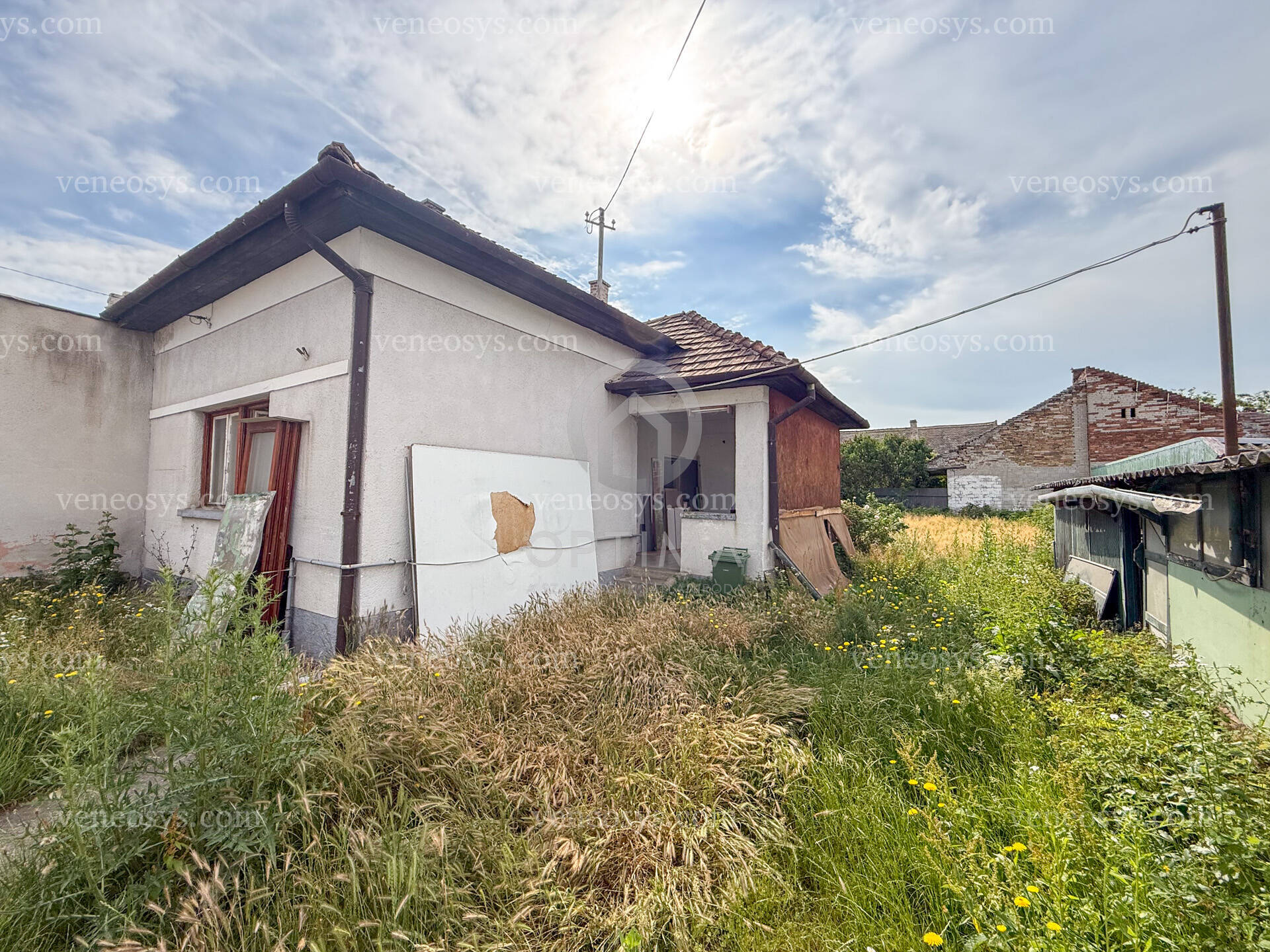 Kép 5