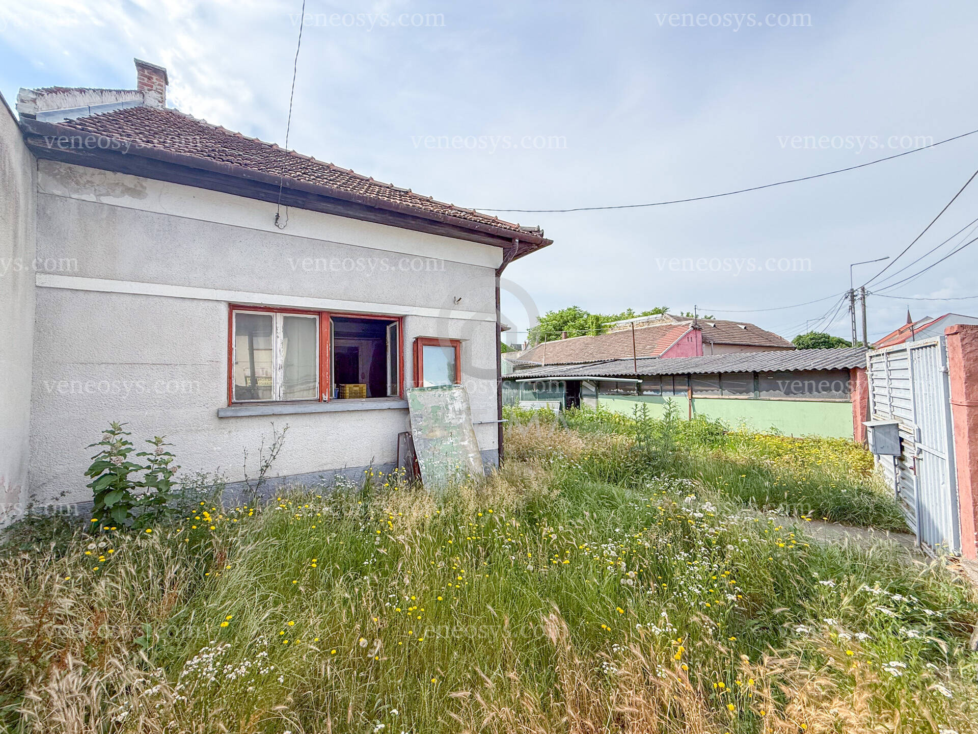 Kép 6