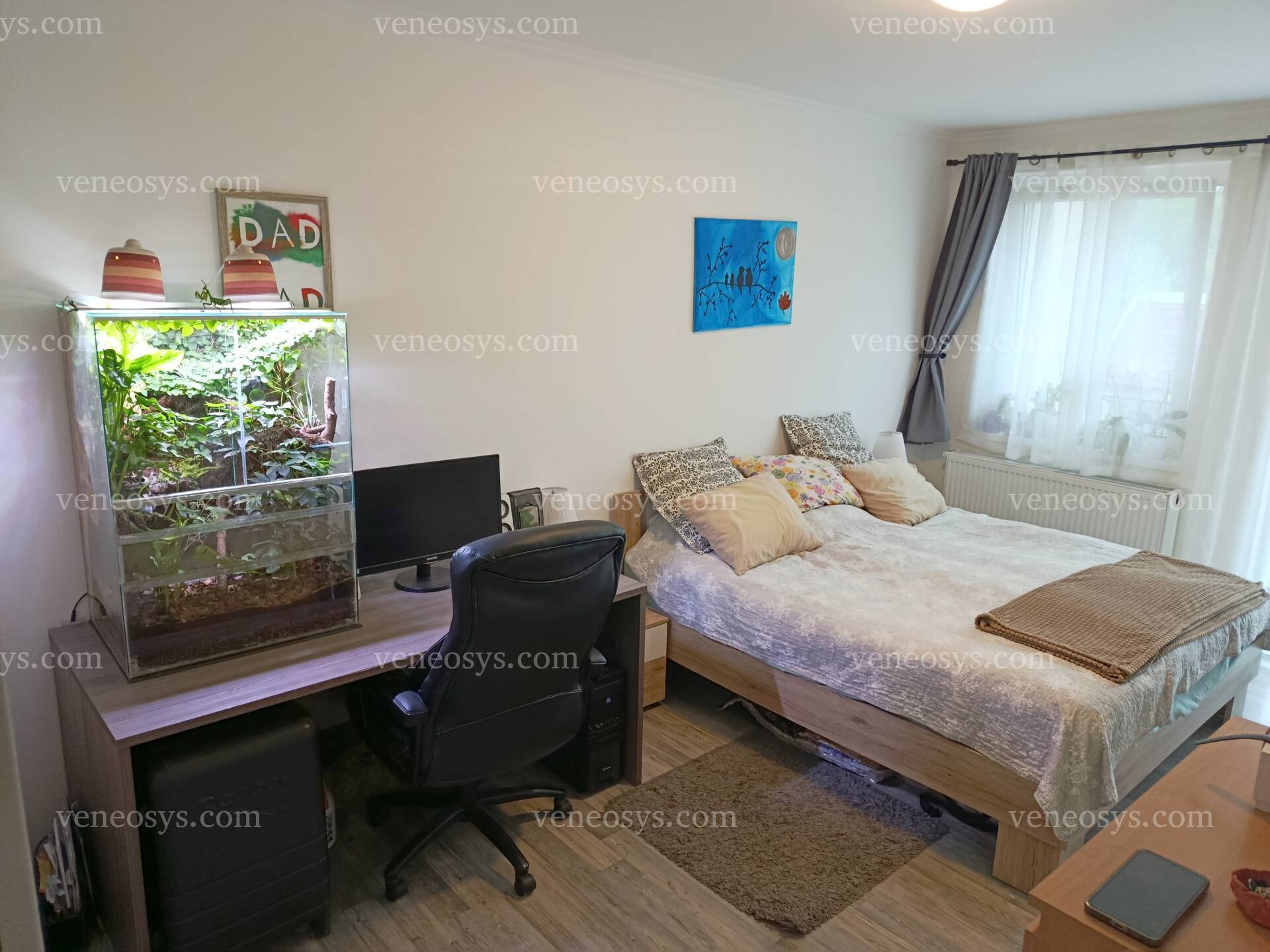 Kép 5
