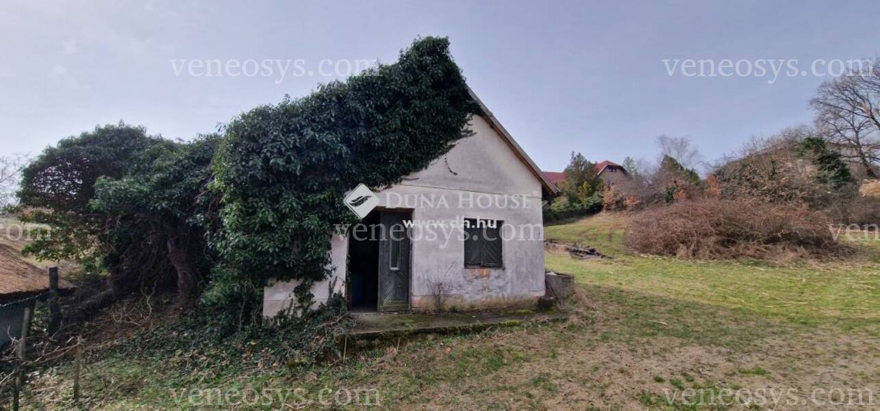 Kép 10