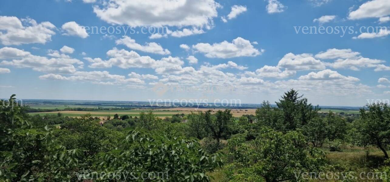 Kép 10