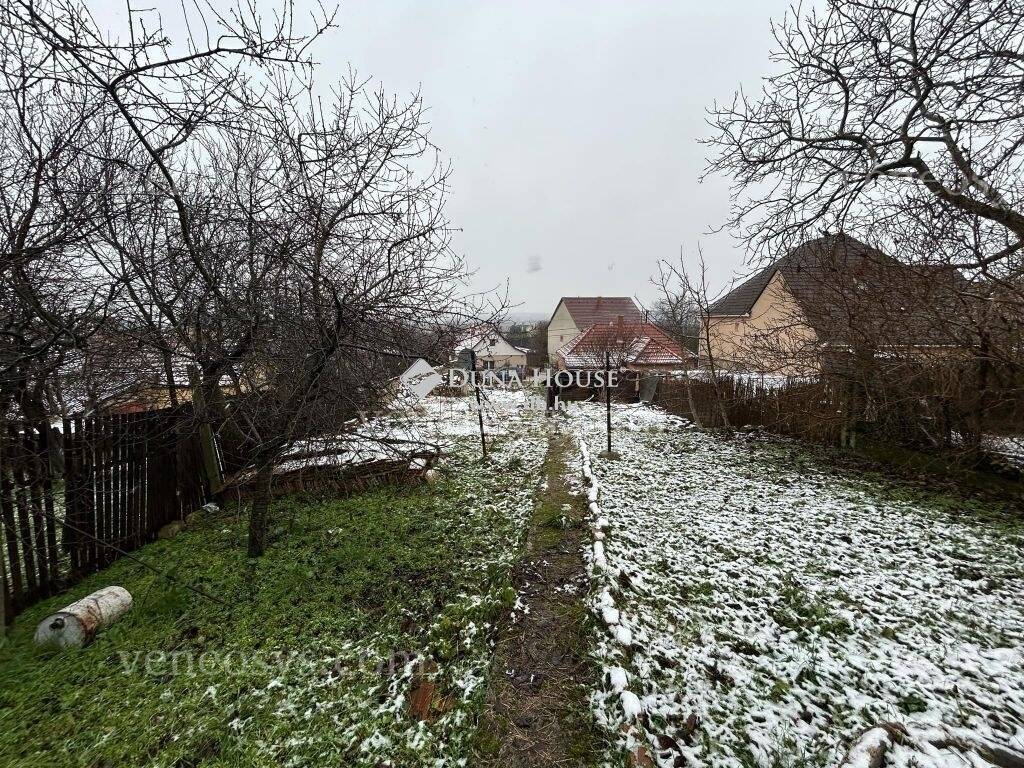 Kép 7