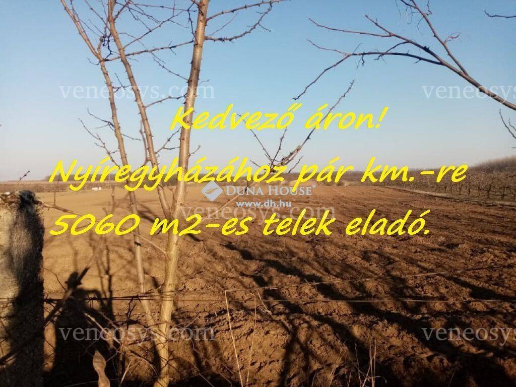 Ingatlan