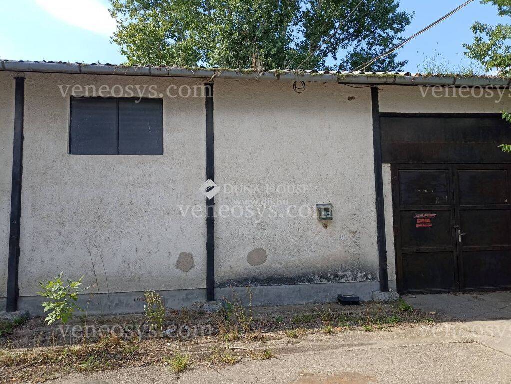 Kép 5