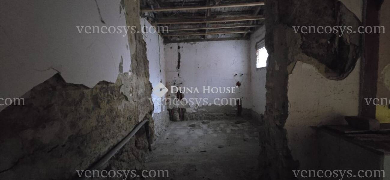 Kép 10
