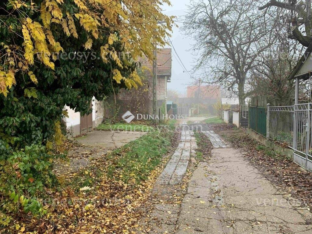 Kép 19