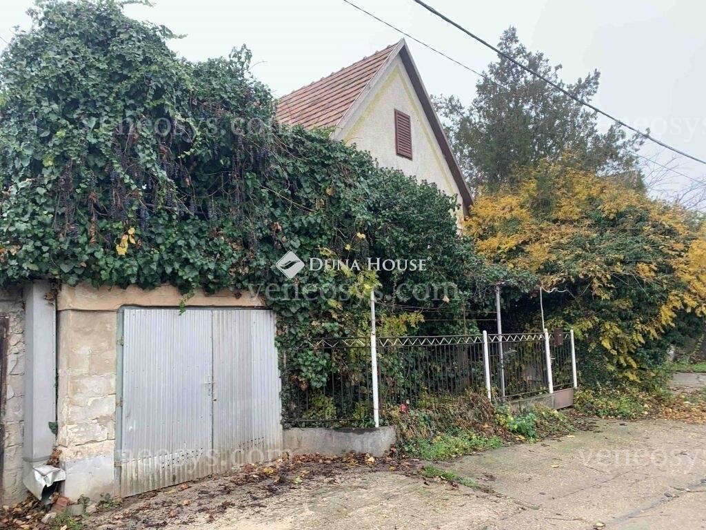 Kép 5