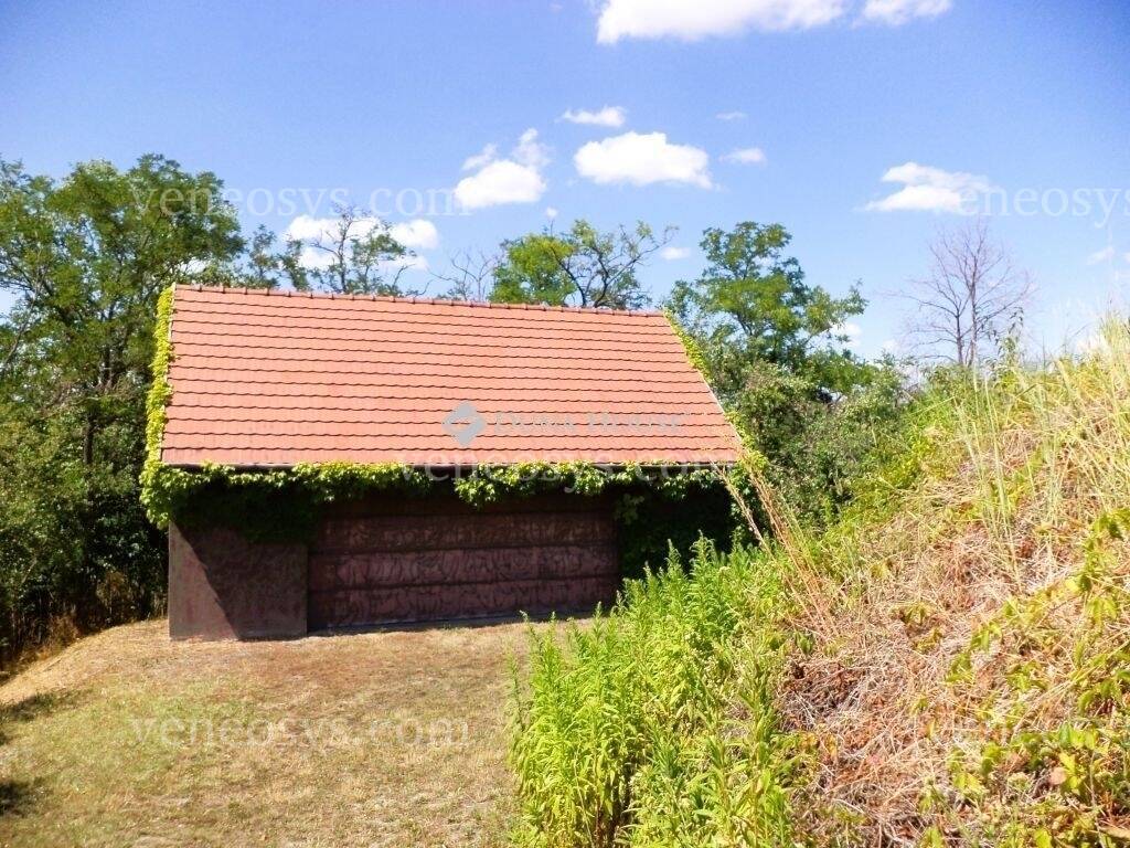 Kép 25