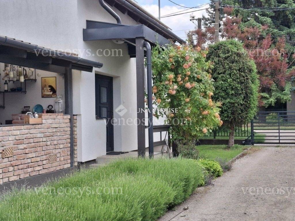 Kép 3