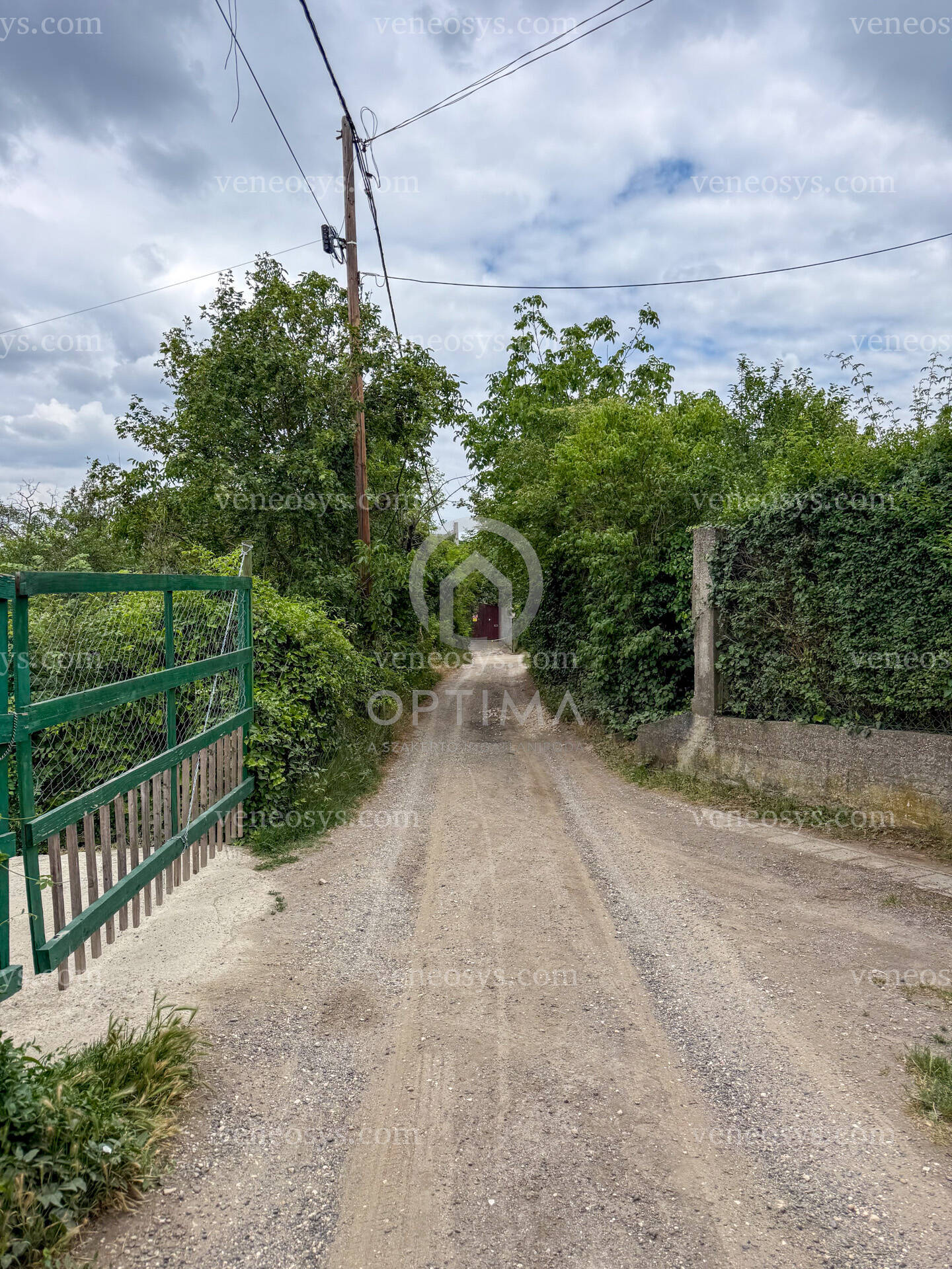 Kép 6