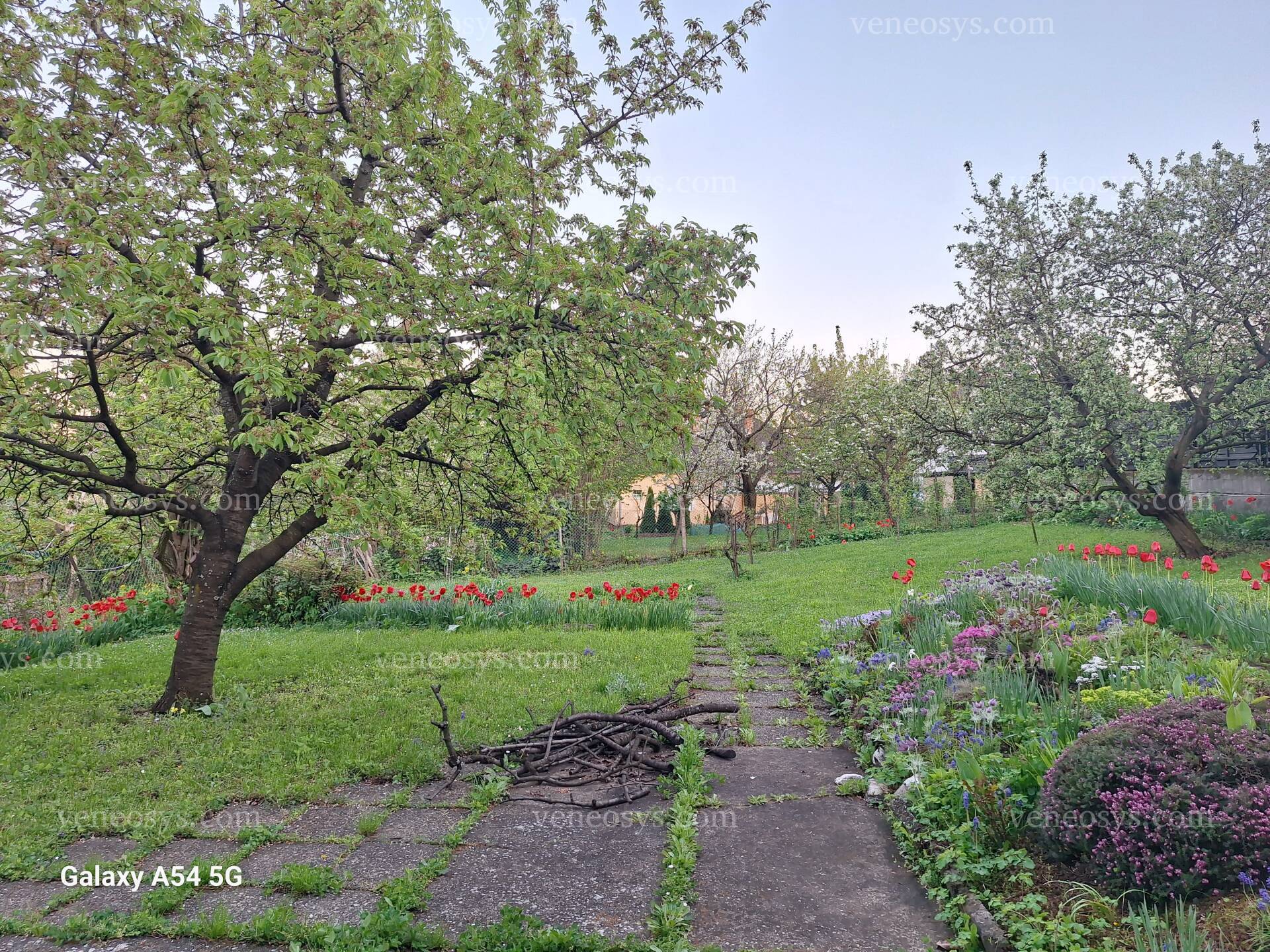 Kép 28