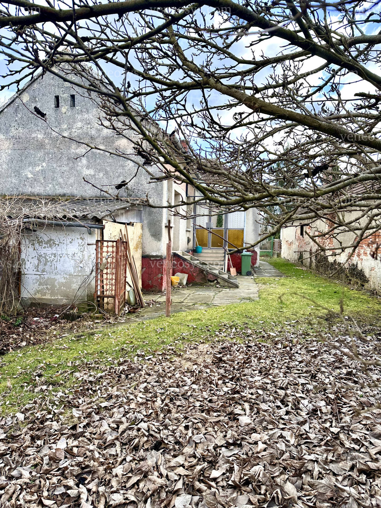 Kép 24