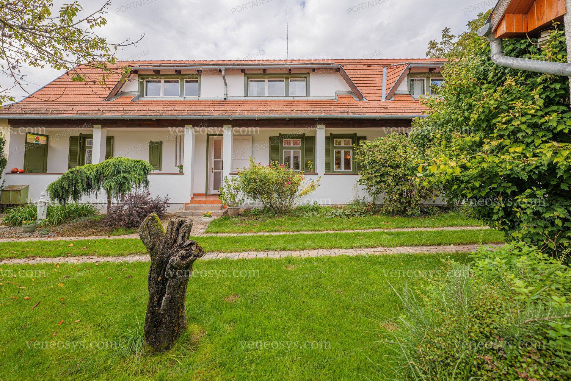 Kép 10