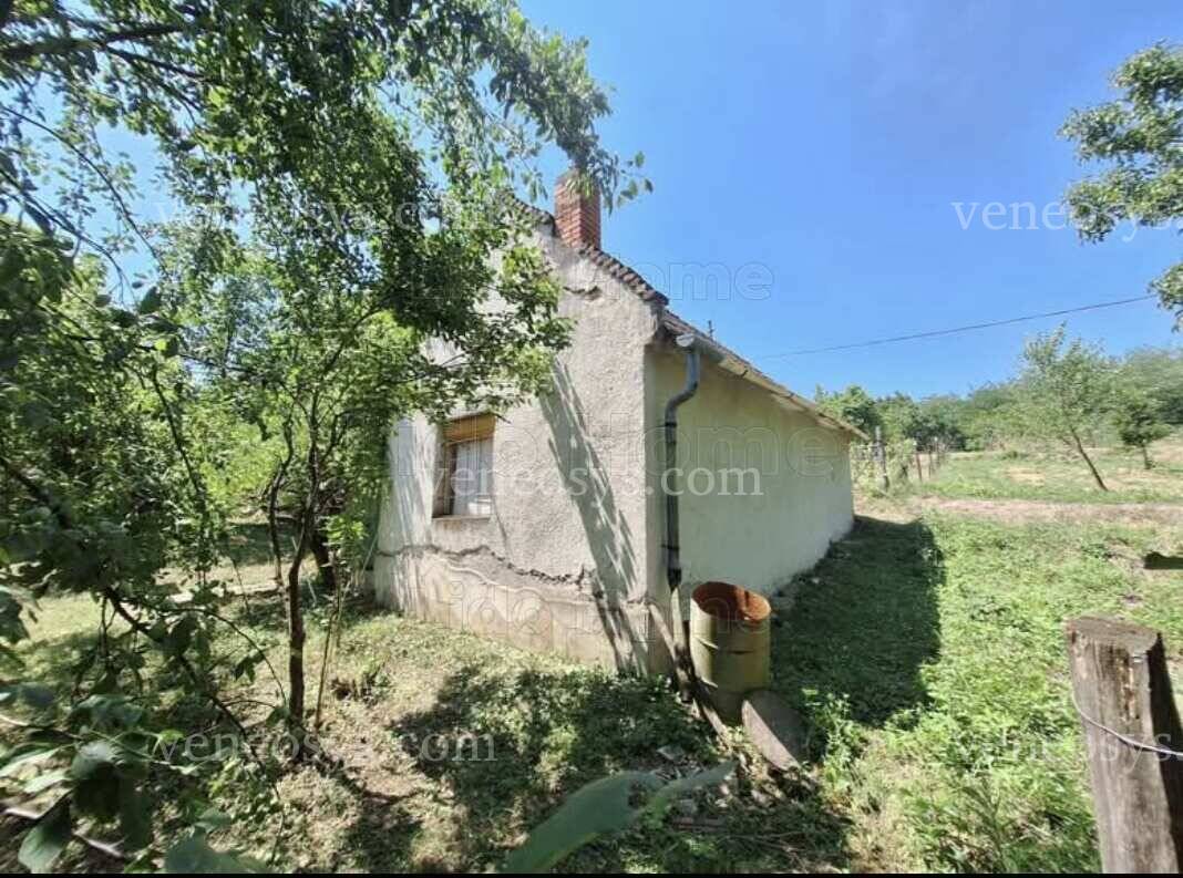 Kép 7