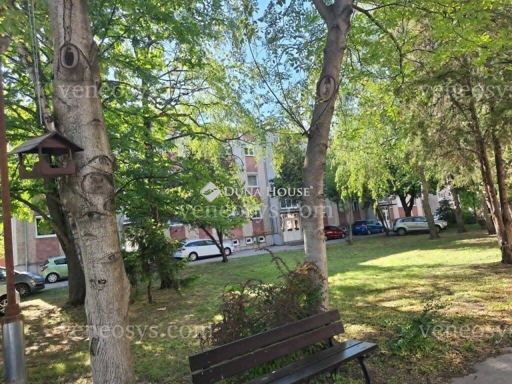Kép 8