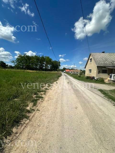 Kép 5