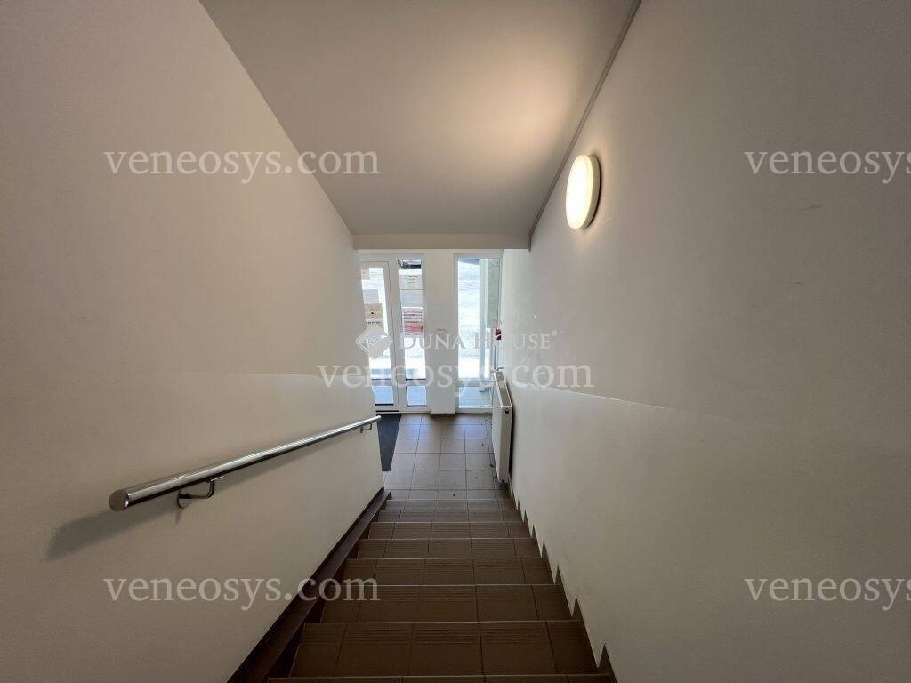 Kép 10