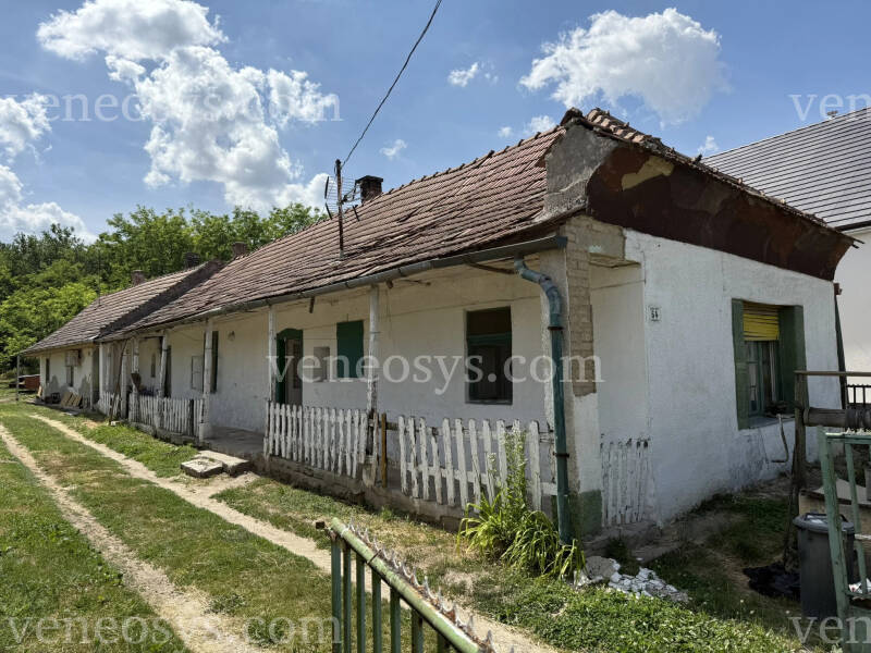 Kép 6