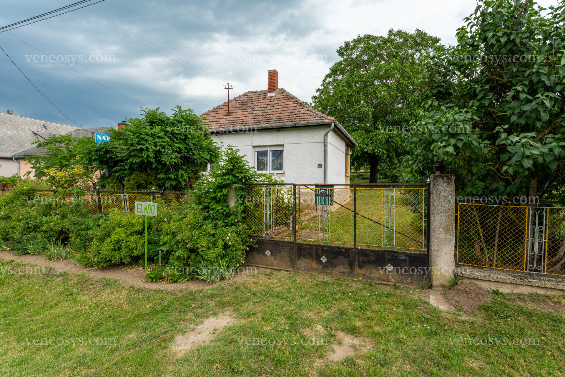 Kép 5
