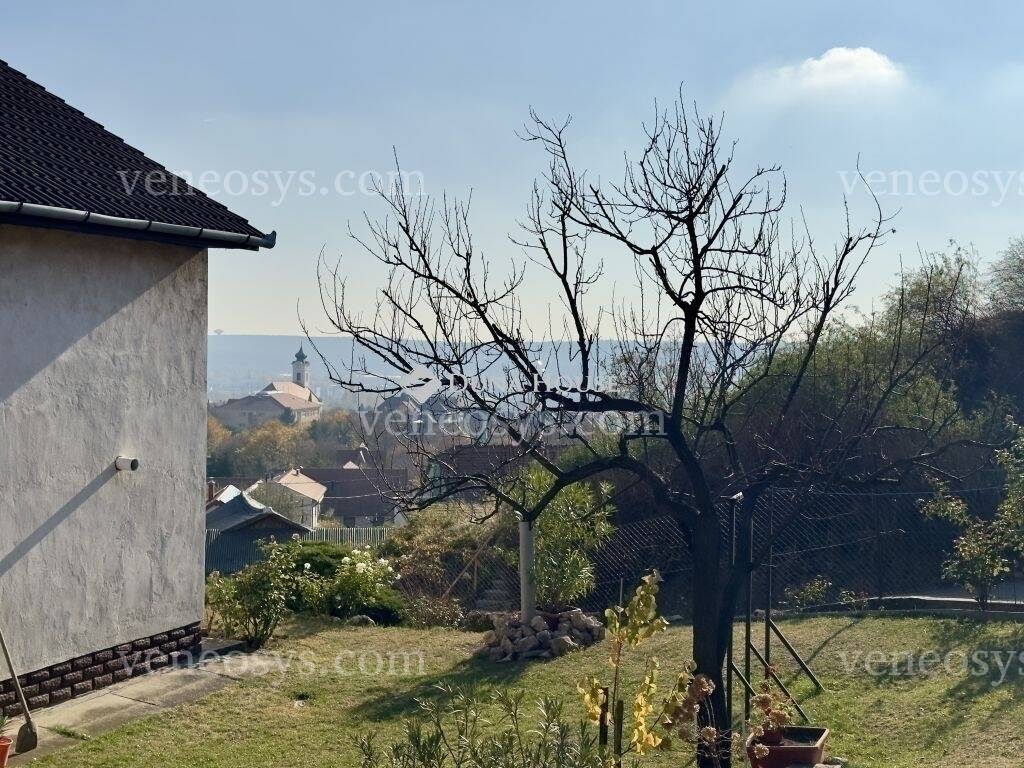 Kép 20