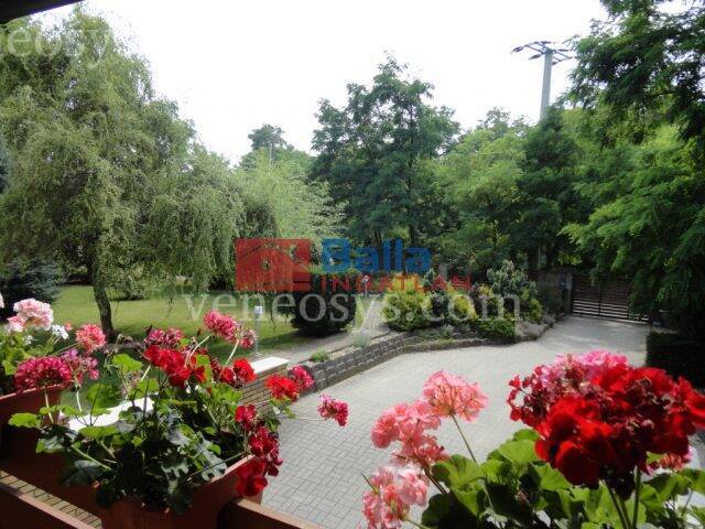 Ingatlan