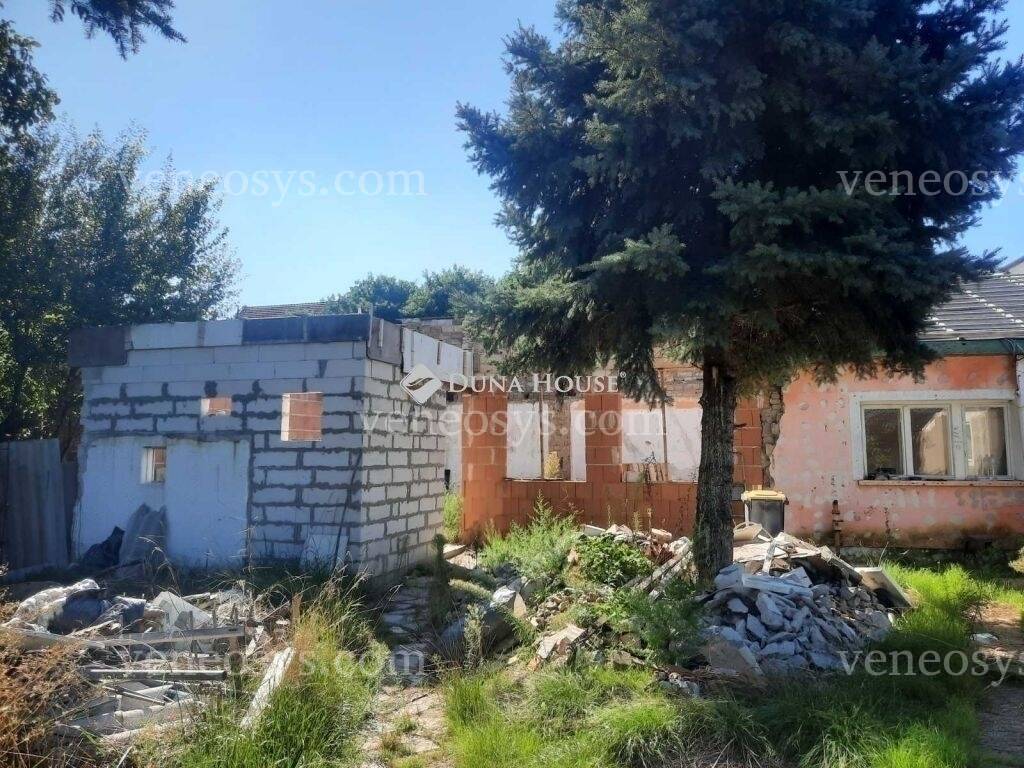 Kép 7