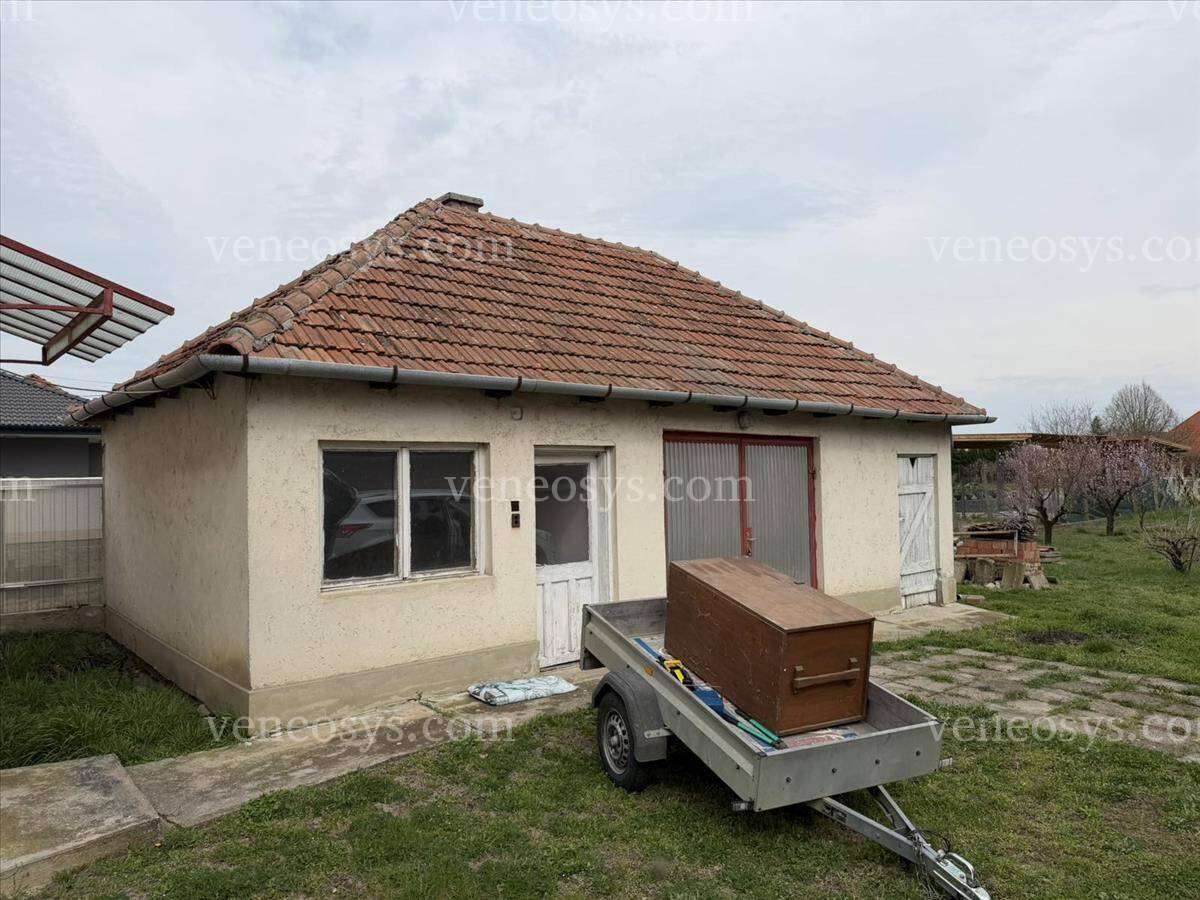 Kép 2