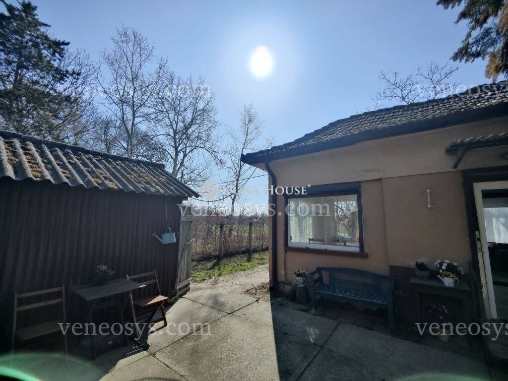 Kép 7