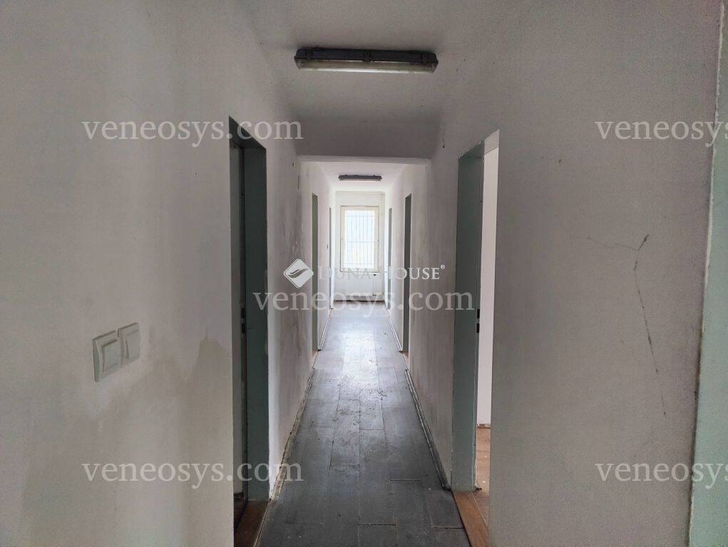 Kép 4