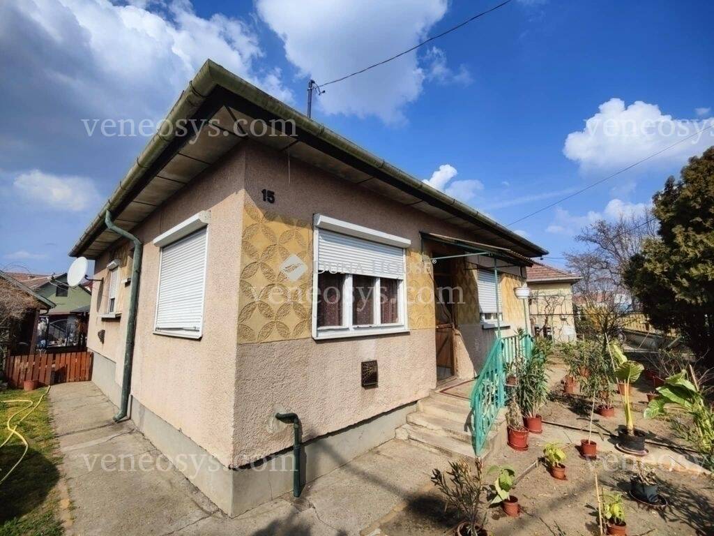 Kép 1