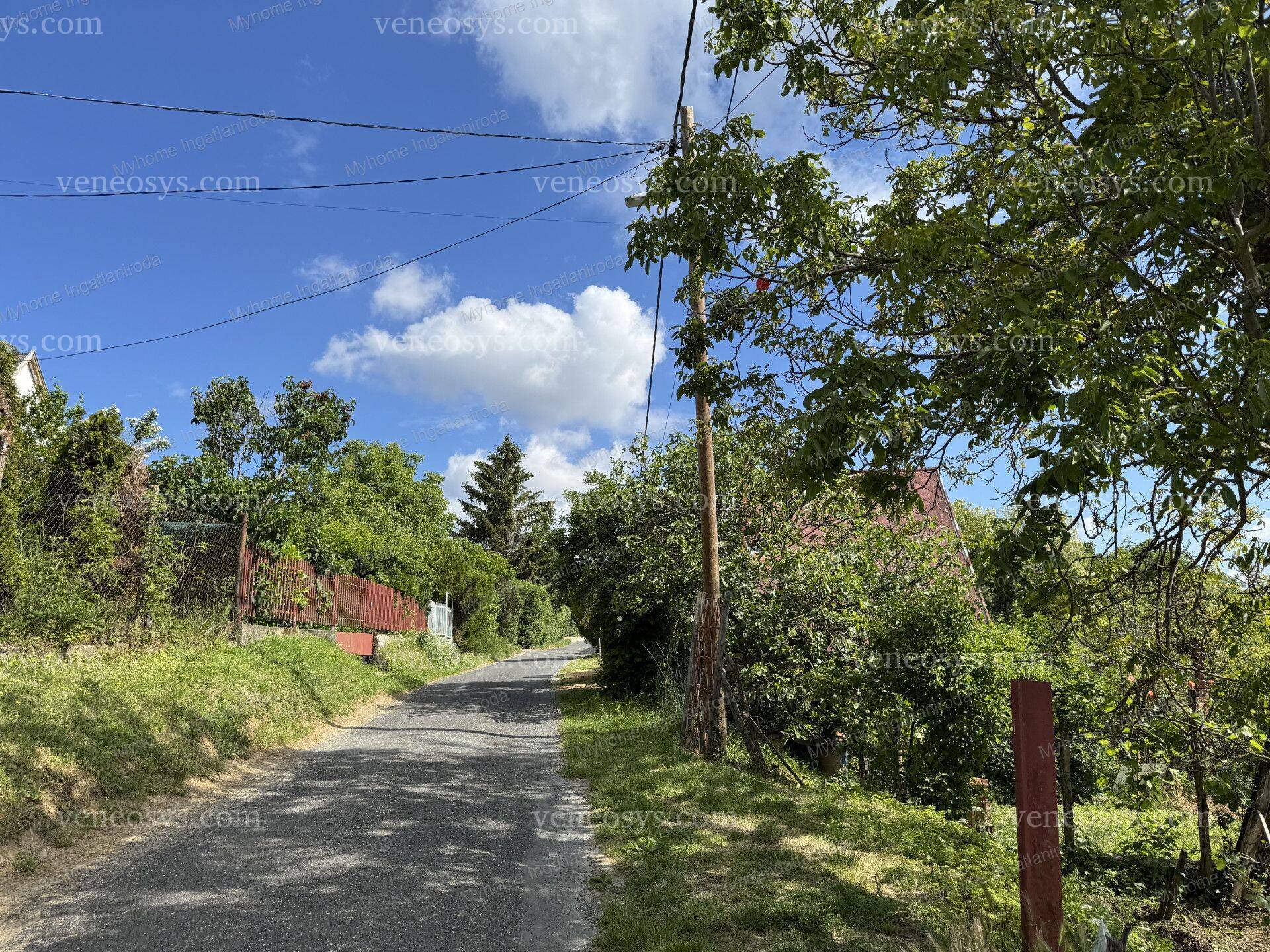Kép 4